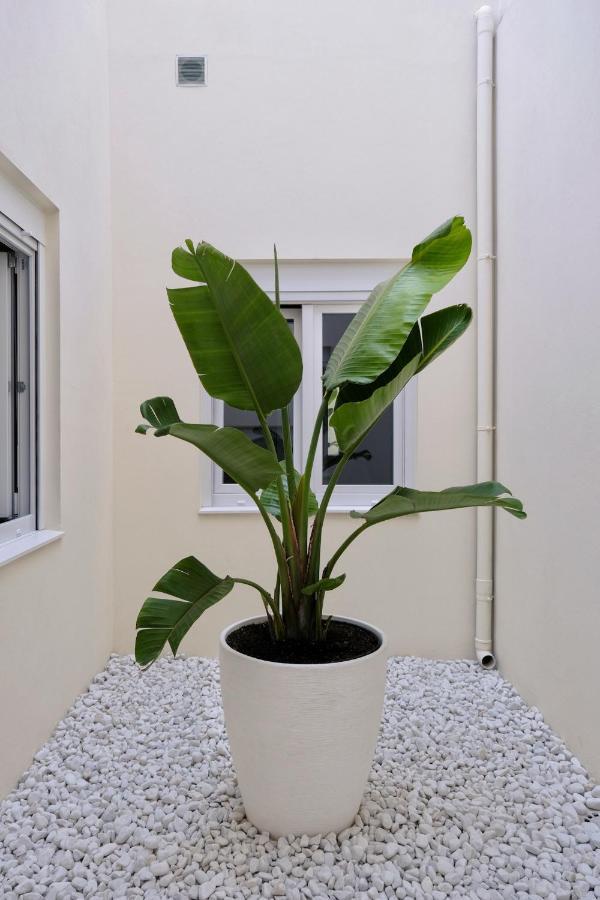 Urban Oasis La Palma Apartment Santa Cruz de la Palma  Exterior foto